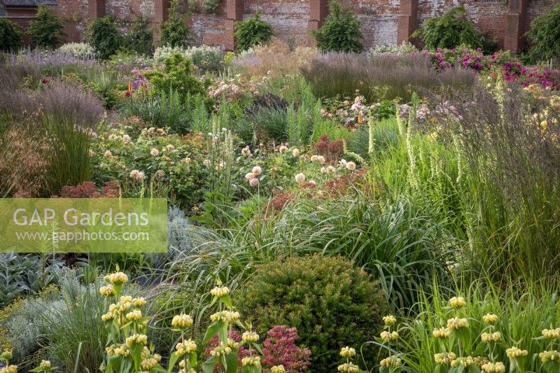 General view of the rose garden at Wynyard Hall. Mixed planting includes  roses, sanguisorba, catmint, phlomis, veronicastrum, grasses and foxgloves.