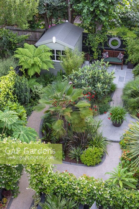 A bird's-eye view of a 9m x 12m town garden planted with evergreen exotics such as the tall central palm, Trachycarpus wagnerianus; dwarf fan palm, Chamaerops humilis 'Vulcano'; tree ferns, Dicksonia antarctica; phormiums, agapanthus, bamboo, loquat and cordyline. An arch and hedge of star jasmine separates the dining area from main garden.
