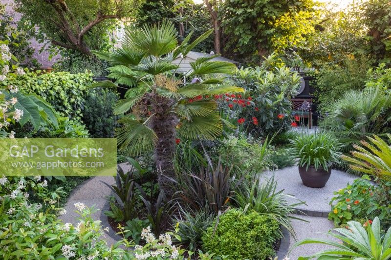 A central bed is planted with the palm Trachycarpus wagnerianus, box, phormiums, eucomis, a loquat tree and crocosmia. To the right on a circular patio stands a pot of agapanthus.