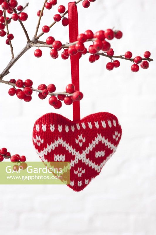 Red and white knitted heart hanging from branch of Ilex verticiliata - Winter Berry