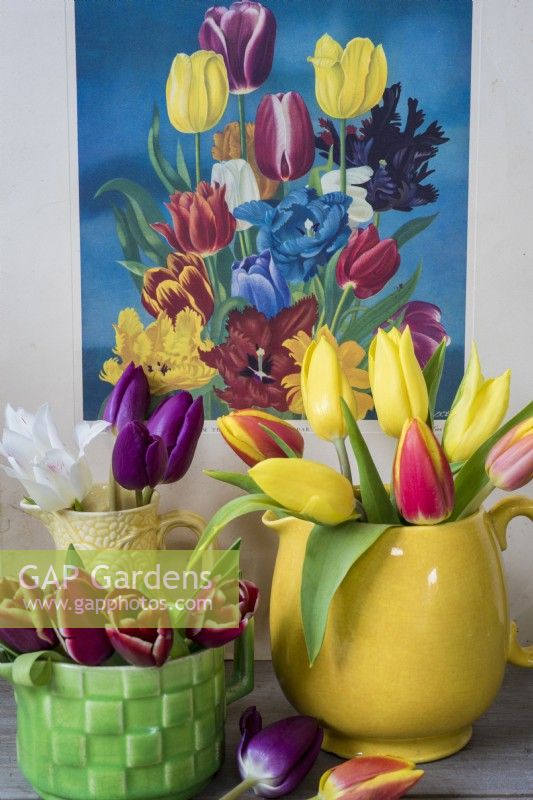Mixed tulips displayed in old china jugs with vintage poster in background