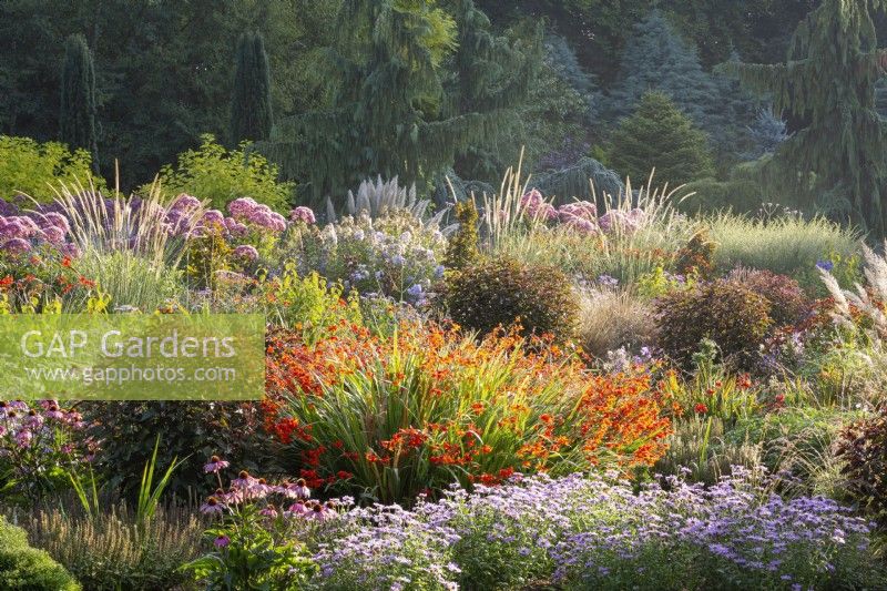 View of mixed summer border in the summer garden at Bressingham Gardens in August. 