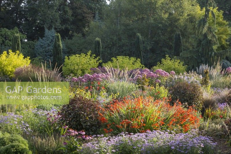 The Summer Garden at The Bressingham Gardens, Norfolk, UK, August.
