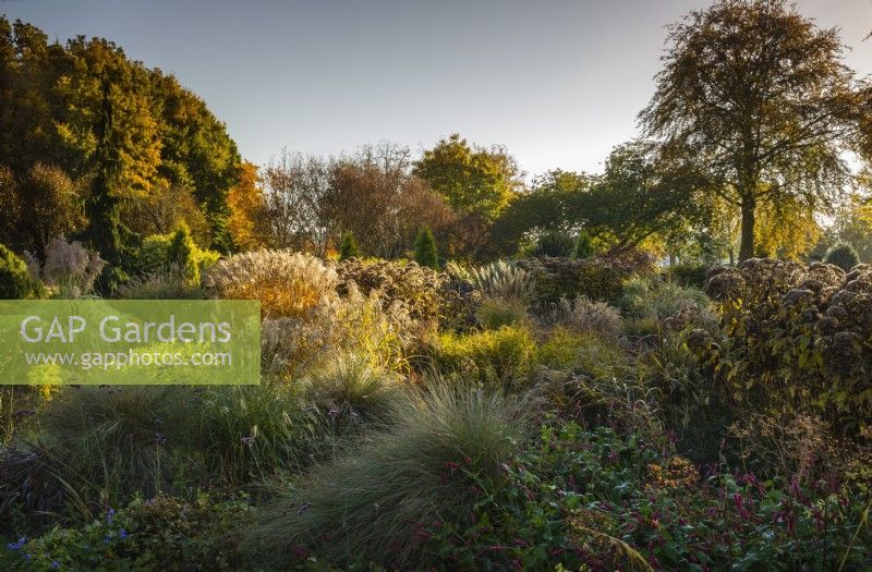 The Winter Garden at Bressingham Gardens in autumn. November.