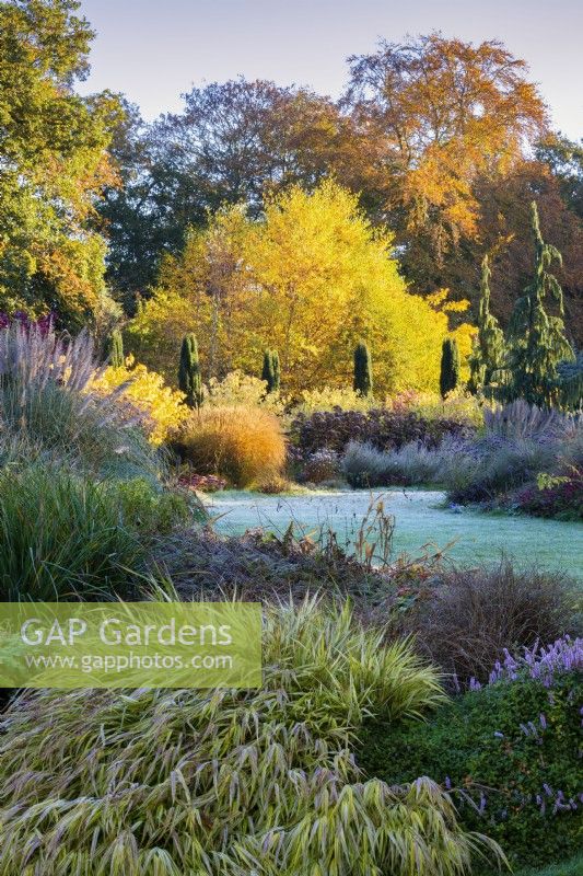 The Winter Garden,  The Bressingham Gardens, November.