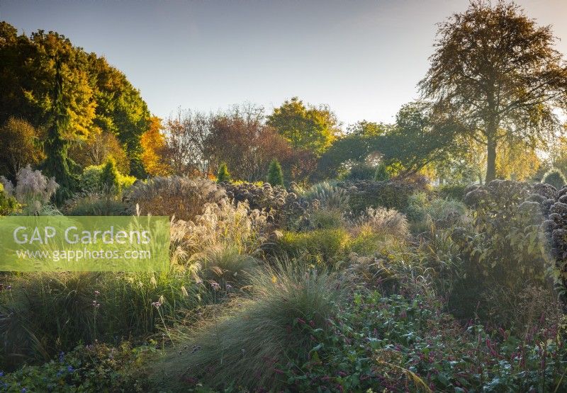 View of mixed beds of grasses and perennials at the Bressingham Gardens in November. 