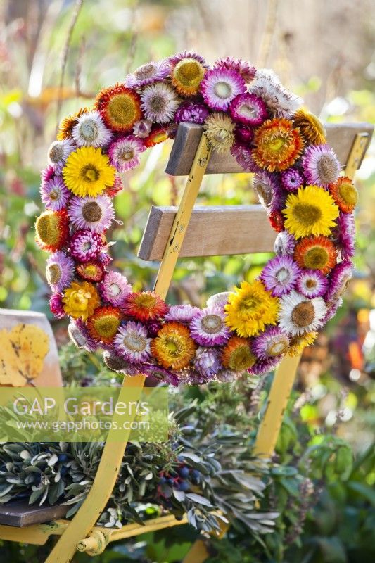 Wreath made from strawflowers.