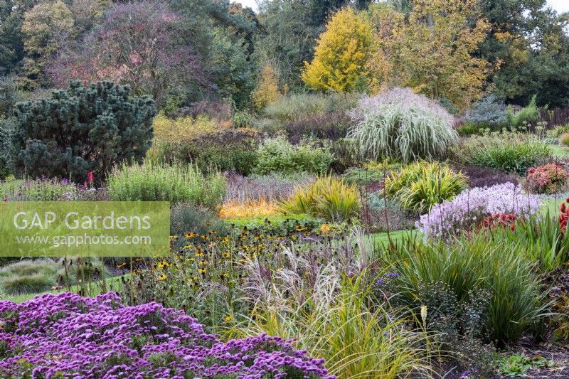 View across mixed borders in The Dell Garden, Autumn 