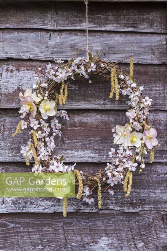 Rustic wreath decorated with Prunus spinosa blossom, Helleborus orientalis flowers and Salix catkins hanging on fence