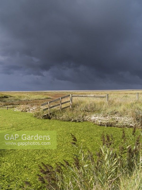 Storm clouds over Salthouse marshes - Norfolk
