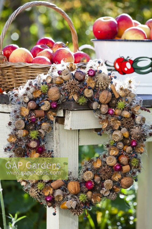 Wreath made from various nuts, berries, poppy seedheads and cones.