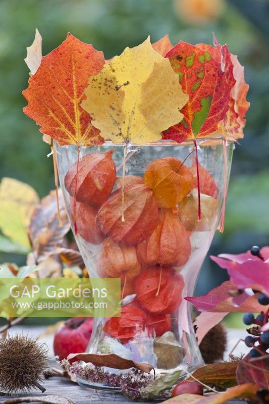 Glass vase with Physalis and decorated with autumn leaves.