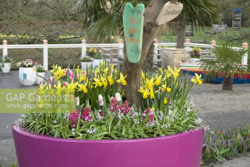 Container filled with Tulips and Daffodils and colourful nameplates on branch.