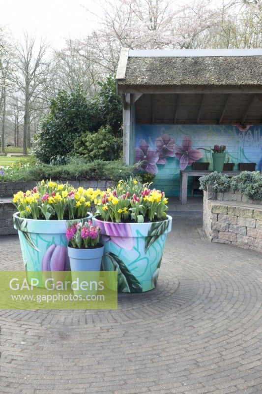 With spring flowers painted pots filled with Daffodils, Hyacinth and Tulips at round terrace.
