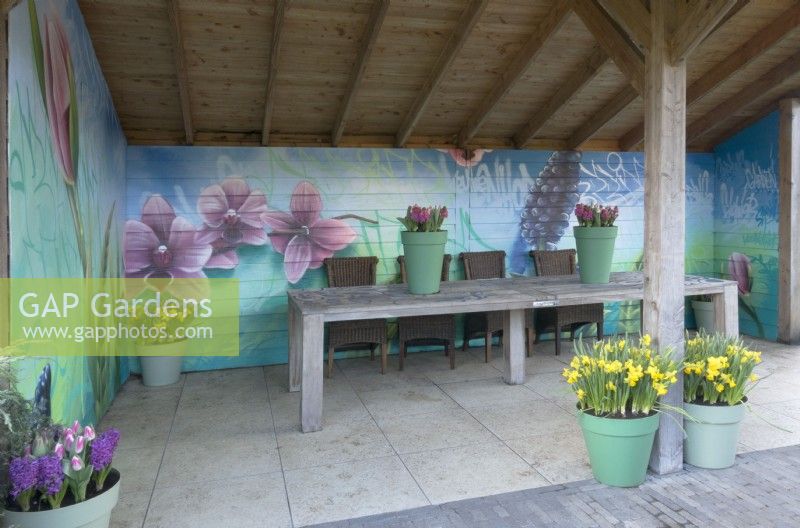 Painted flowers on wall of veranda and green plastic containers with yellow Daffodils, purple Hyacinth and Tulips.