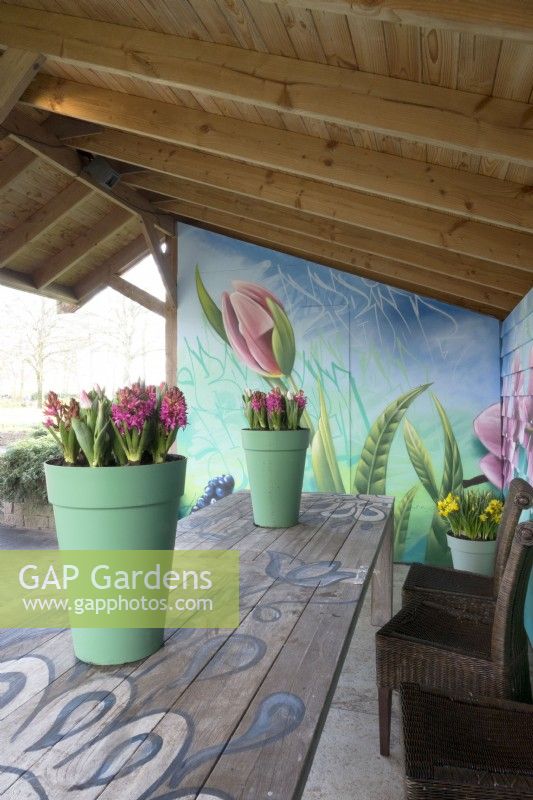 Painted flowers on wall of veranda and green plastic containers with pink Hyacinth and white pink tulips on wooden painted table.