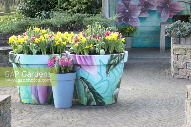 With spring flowers painted pots filled with Daffodils, Hyacinth and Tulips.