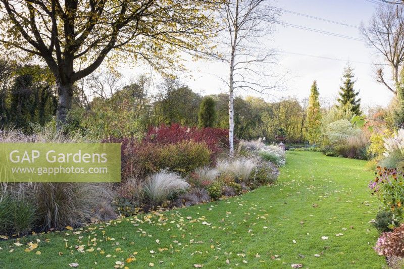 October border including ornamental grasses and shrubs including asters in John Massey's garden.