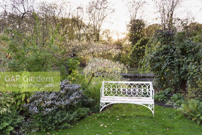 White bench surrounded by shrubs and trees at John Massey's garden in October.