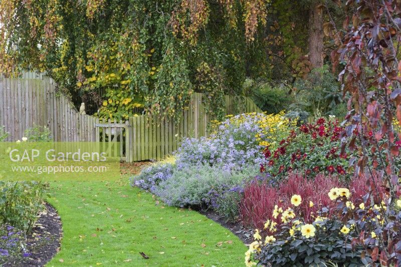 Colourful planting including ornamental grasses and late herbaceous perennials in Adam's Garden at John Massey's garden in October.