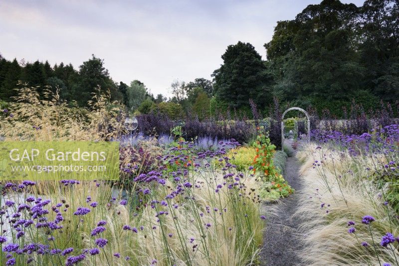 Path through Stipa tenuissima and Verbena bonariensis at Whitburgh Walled Garden in Scotland in September