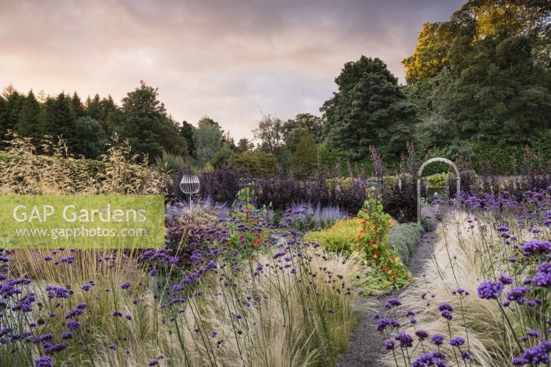 Borders edged with Stipa tenuissima and Verbena bonariensis at Whitburgh Walled Garden in Scotland in September