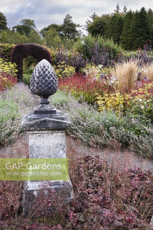 Pine cone finial underplanted with Heuchera villosa 'Palace Purple' at Whitburgh House Walled Garden in September.