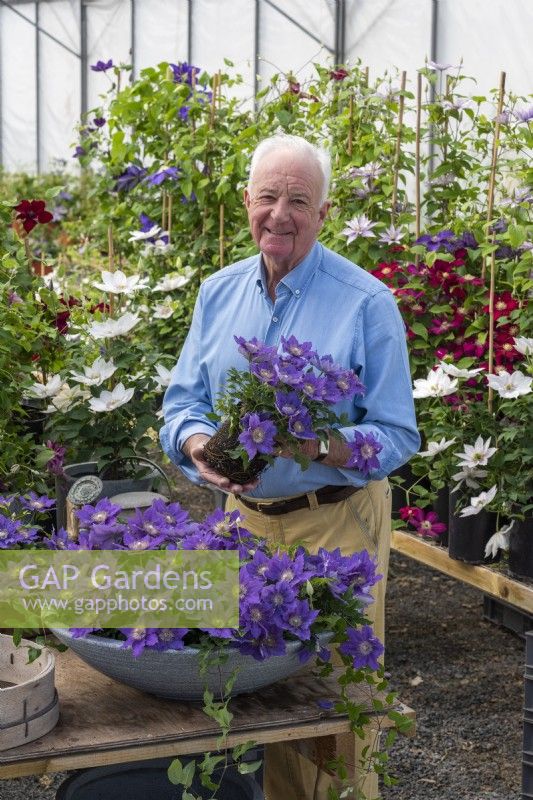 Raymond Evison in his nursery, planting up a bowl with Clematis 'Bijou' as a main display