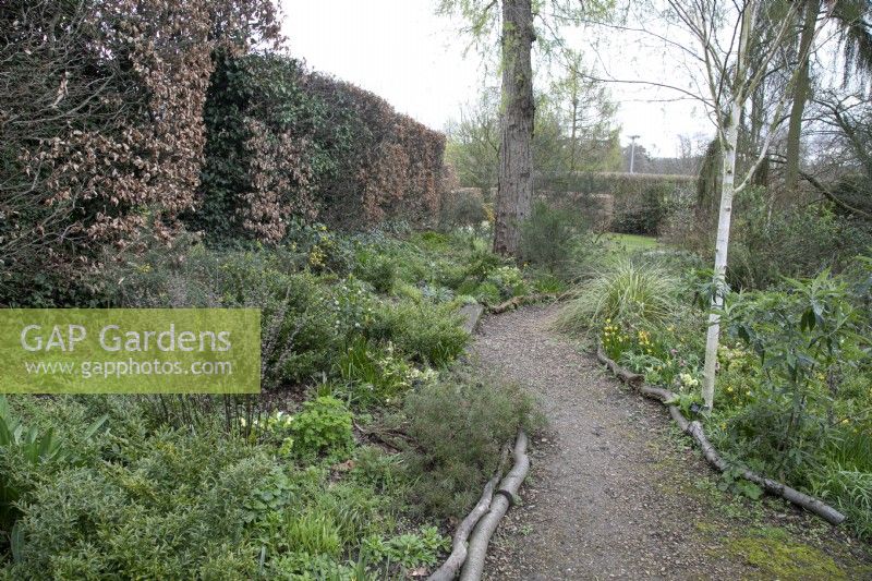 The Winter Garden at Winterbourne Botanical Gardens - April