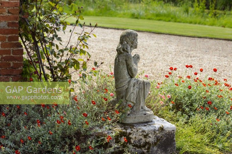 Young girl statue with rock roses Helianthemum and gravel pathway and grass beyond.