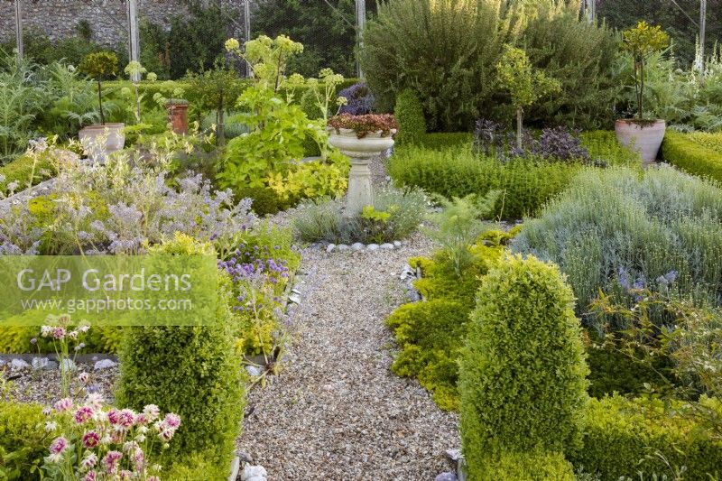 View of herb garden and featuring pedestal urn with sempervivums. Also including box, aquilegias, chives,  artichoke Cynara scolymus, standard bays Laurus nobilis, Angelica Angelica archangelica, borage Borago officinalis, curry plant Helichrysum and a standard gooseberry.