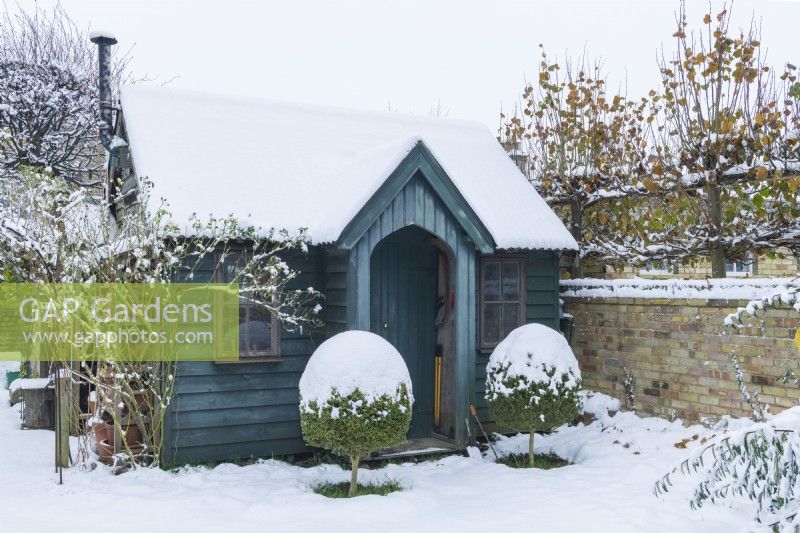Dark green painted timber garden building in winter with pair of box topiary trees in front of entrance. December.