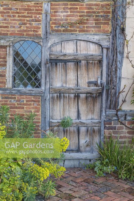 View of an old wooden door suurounded by foliage plants in a country garden in Spring - April