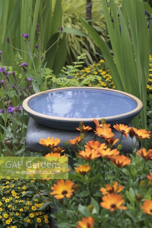 Ceramic plant pot saucer used as bird bath