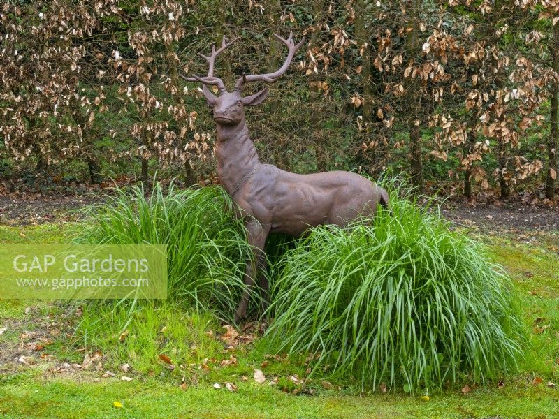 Deer Statue with grasses and beech hedge in Spring April