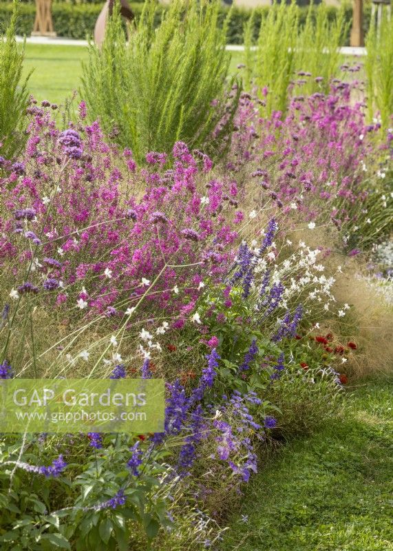 Planting with perennials and ornamental grasses, summer June