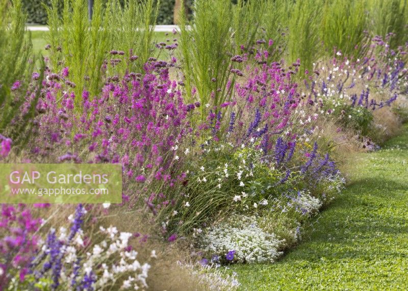 Planting with perennials and ornamental grasses, summer June