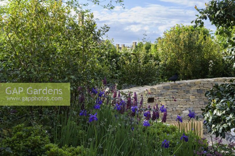 Stone spiral wall with  curved wooden bench and planting  of Lupins and Iris - The RAF Benevolent Fund Garden 