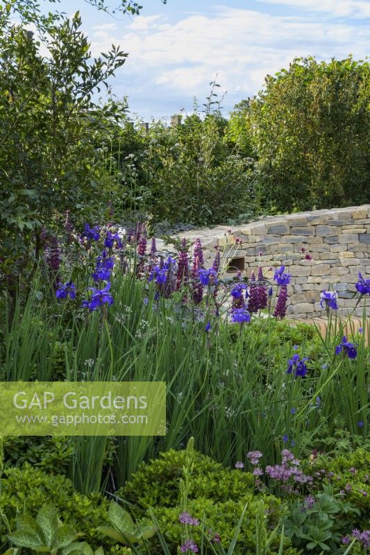 Stone spiral wall with in-built wooden bench and planting of Lupins and Iris - The RAF Benevolent Fund Garden