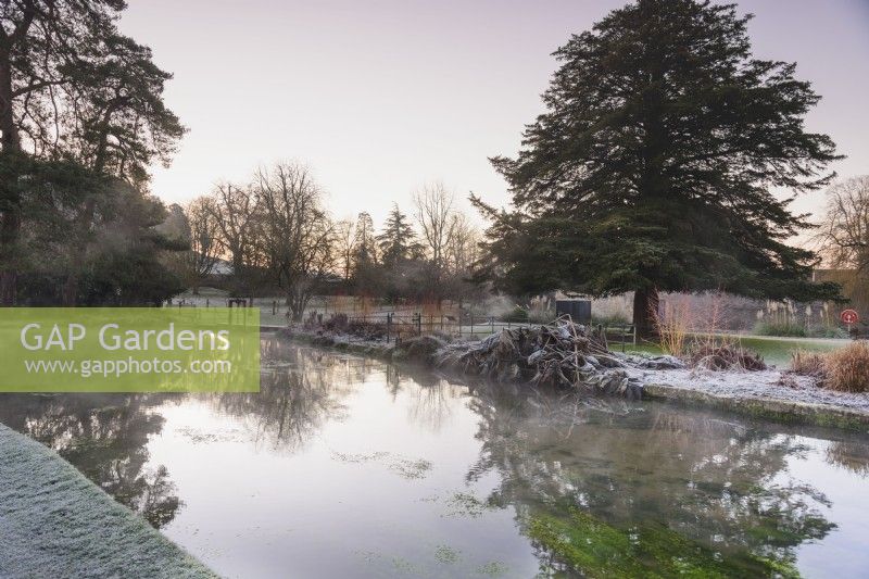 Pond with mist and reflections in January within the Bishop's Palace Garden, Wells, Somerset