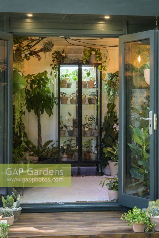 Houseplant Studio with Succulents and Cactii  in  The Aroid Attic
Studio: Social Media versus Reality - Sponsor: Malvern Garden Buildings