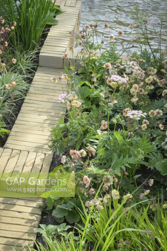 Herbaceous bed along brick edging  planted with perennials including  Astrantia, ferns and Geum 'Petticoats Peach' next to a pond with fountains - The Stitcher's Garden, RHS Chelsea Flower Show 2022