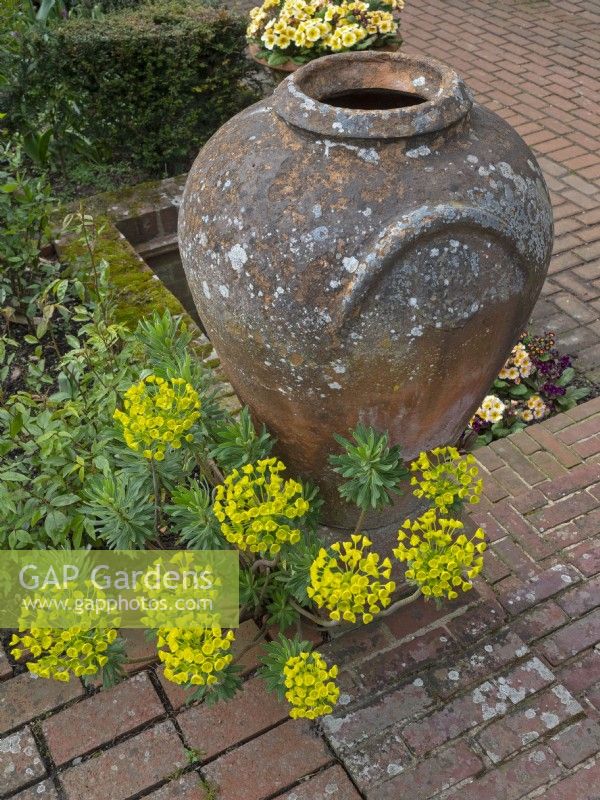 Large ornate Urn East Ruston Old Vicarage garden Norfolk
