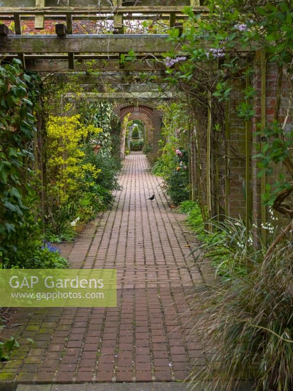 Brick path and archways Old Vicarage Garden, East Ruston, Norfolk