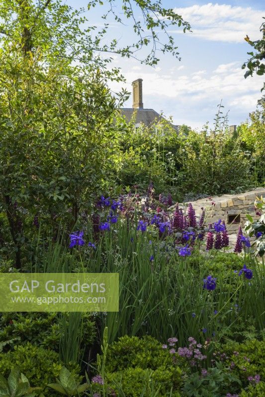 Planting of Iris and Lupins - The RAF Benevolent Fund Garden, RHS Chelsea Flower Show 2022 - Silver Medal