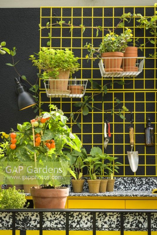 Repotting workstation with tools and pots on yellow rack against black wall  - The Potting Balcony Garden
