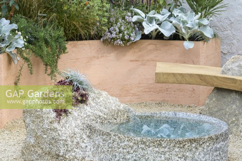 Drought tolerant garden with stone water feature. Curved terracotta planters with Arbutus, Salvia, Rosmarinus officinalis 'Prostratus' and Senecio candidans 'Angels Wings' - A Mediterranean Reflection, RHS Chelsea Flower Show 2022 - Silver Medal