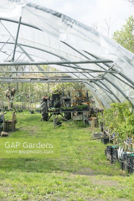 Tractor in the poly tunnel with plants in crates for sale at the nursery.