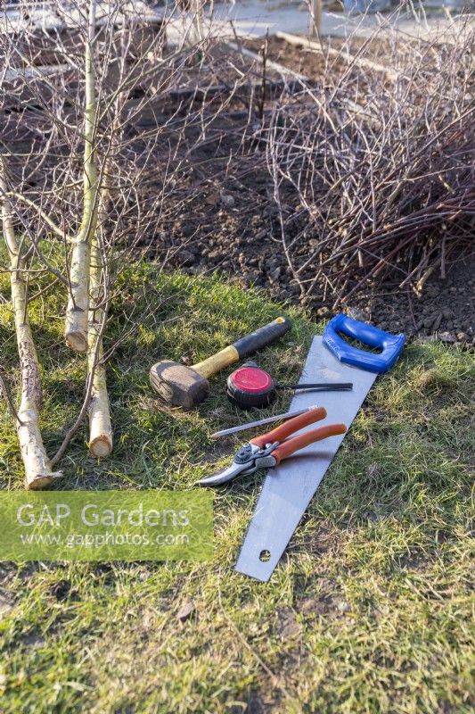 Birch trees, birch twigs, hammer, saw, tape measure, pencil and secateurs laid out on the ground
