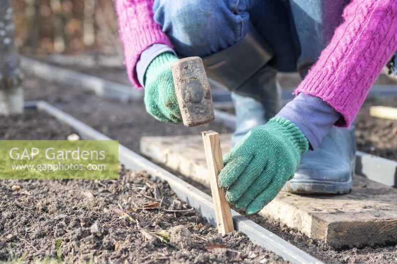 Woman hammering wedges into the ground against the outside of the planks to keep them in place